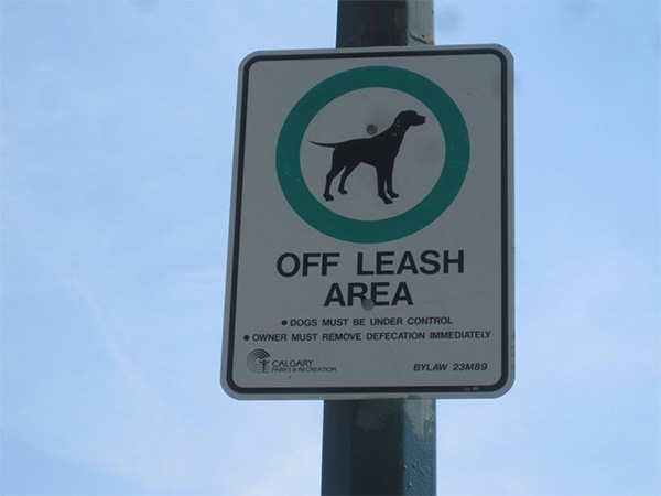 FAQ on the Hwy 22X Off-Leash Dog Park